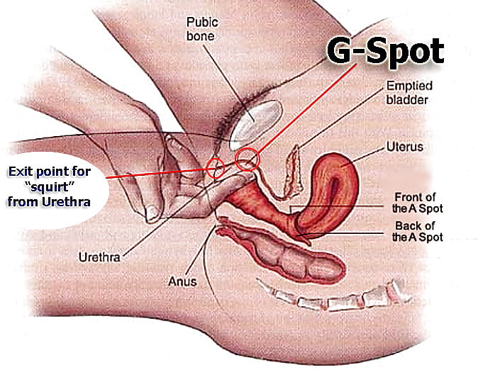 Spot best position gspot orgasm compilations