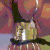 Sexy sissy gimp gifs XXX album thumbnail