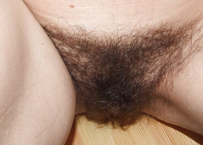 XXX Another Hairy collection #38