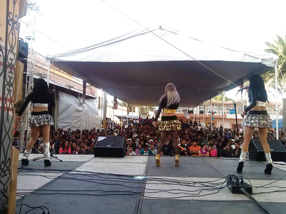 XXX VECINAS ZORRAS II