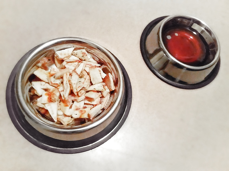 XXX My food in dog-bowls. Petplay