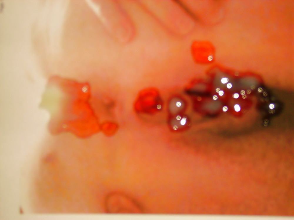 XXX cum tribute for discusr6