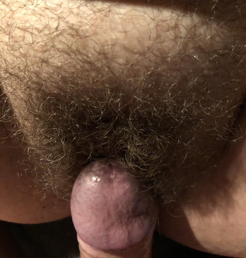 Hairy pussy- 28 Pics 