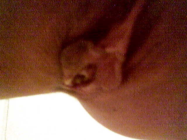 XXX my collection 6