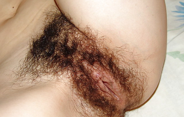 XXX Hairy sluts