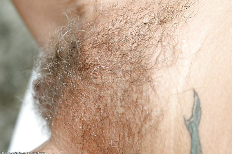 XXX Some Sweet Hairy Pussies