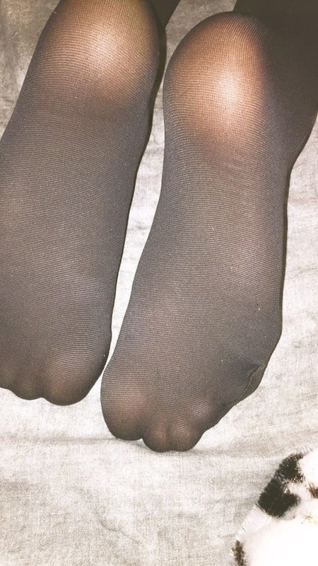 Legs and feet in nylon - 14 Photos 
