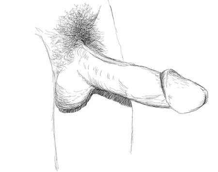 un croquis