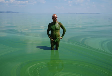 in green algae         