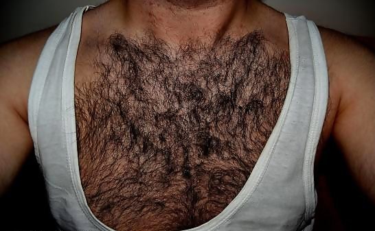 XXX sexy hairy chest