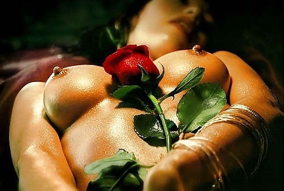XXX Erotic Art of Roses - Session 6