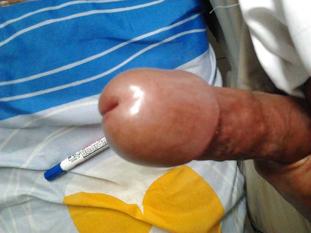 my cock