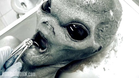 the best of horrorporn         