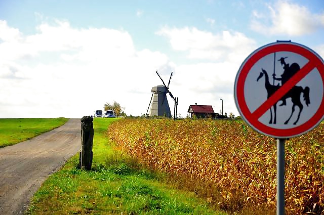 XXX Girls and Diverses 35