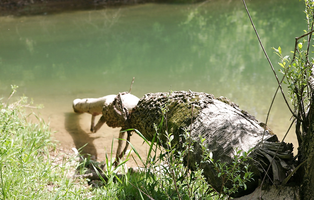 XXX RealPics - Set 28