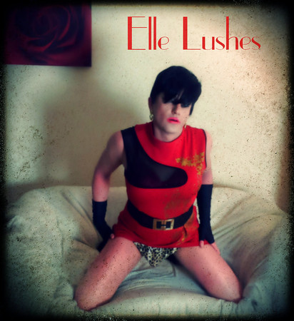 Free Elle Lushes Crossdresser pics - old and new. photos 80670701.