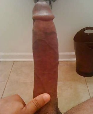 XXX Hot polish dicks