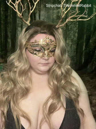 velvet rabbit free photos         