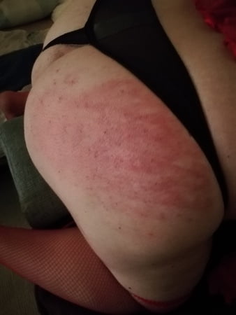 praesentieren benutzt         