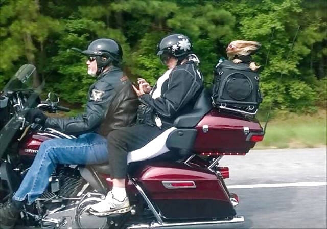 XXX Girls and Diverses 109