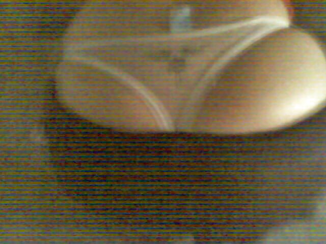 XXX cougars mexicanas