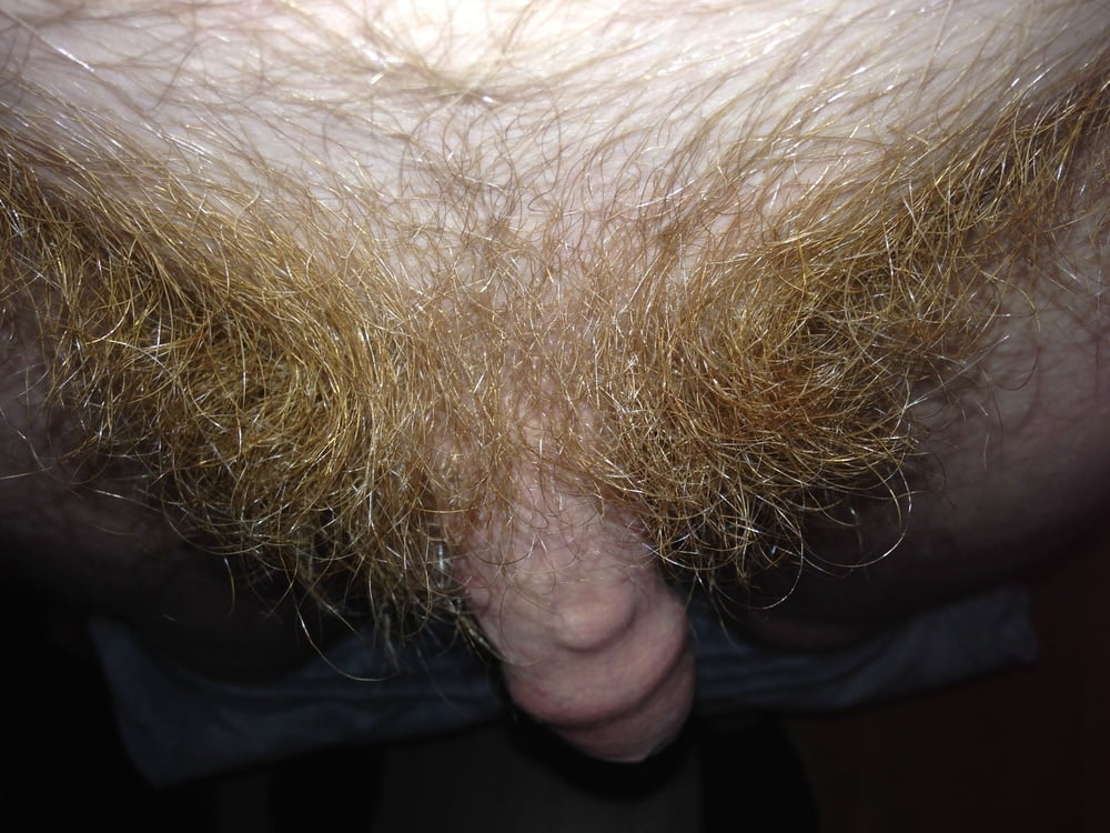 Hairy Ginger Cock. 