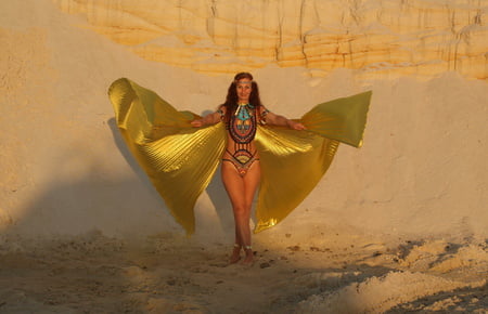 with golden wings on setting sun         