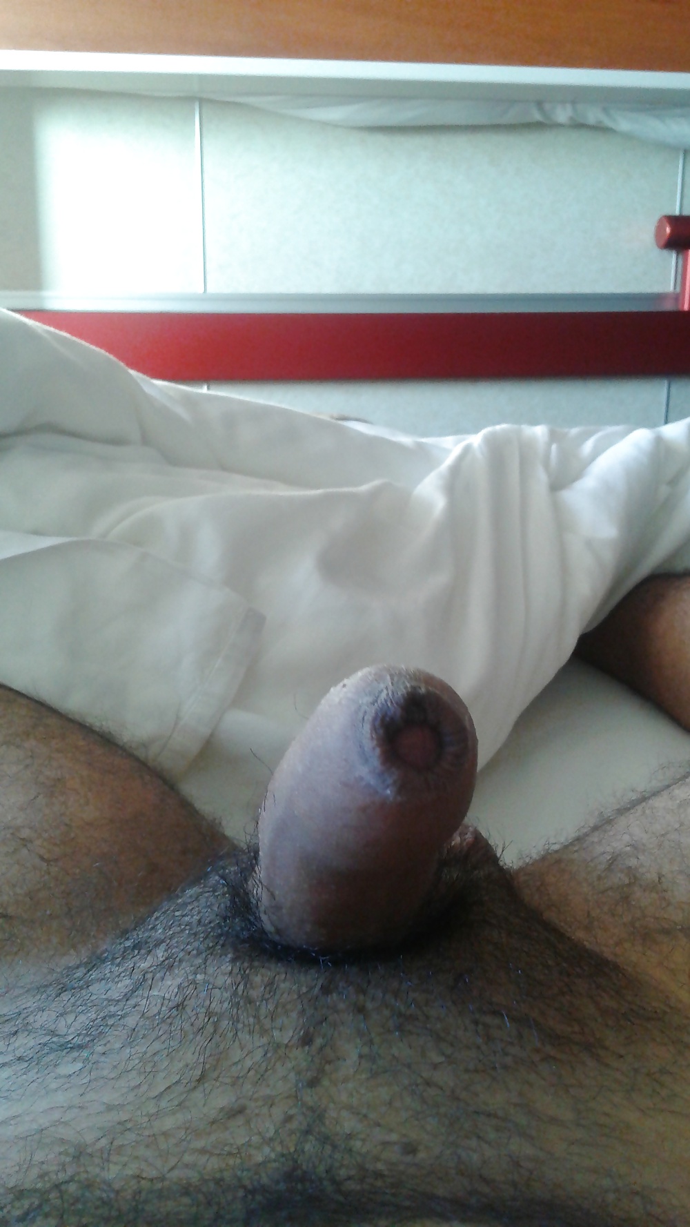 XXX My Sexy Dick Getting Hard for Pussy