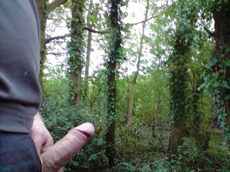 me wanking in the woods