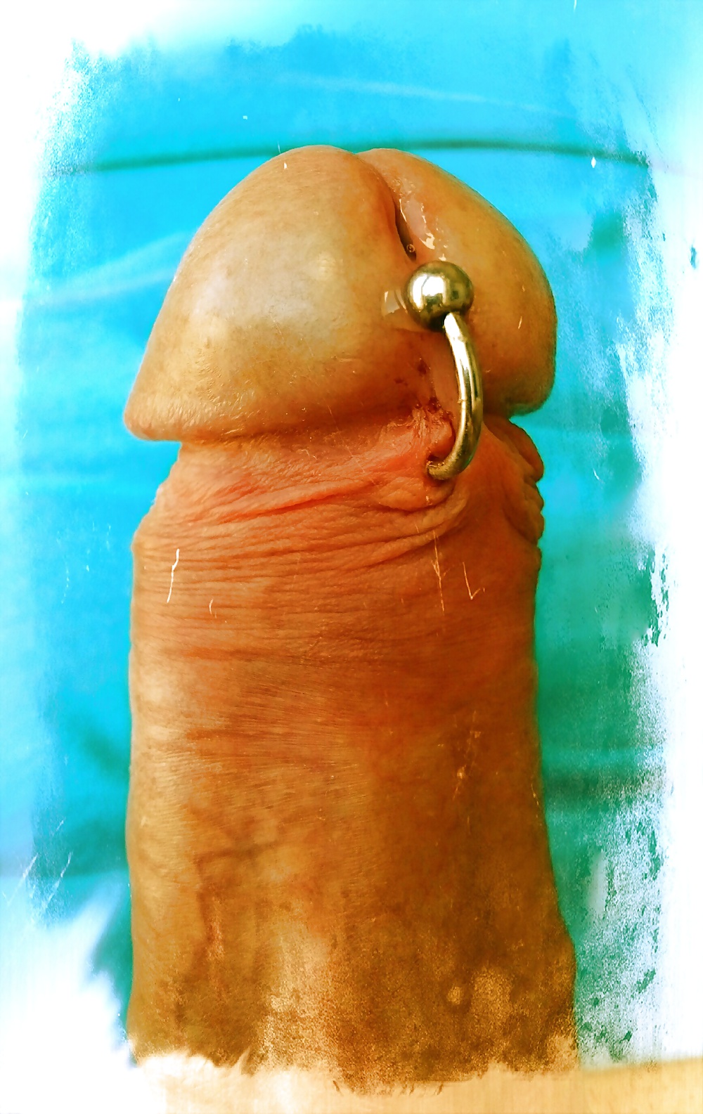 XXX new prins Albert piercing