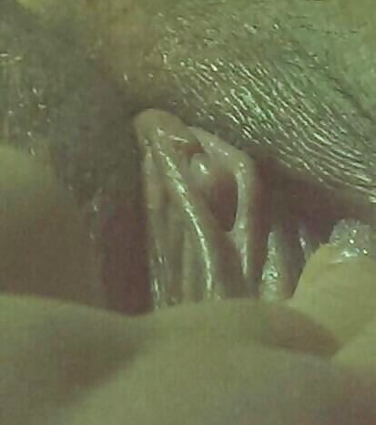 XXX More Bitches i used to Fuck