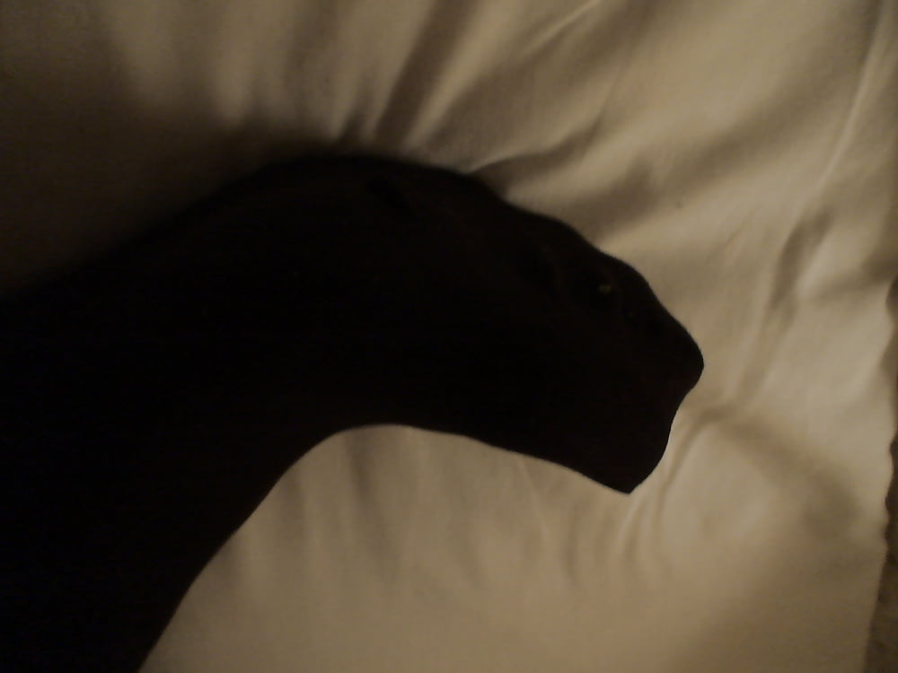 XXX Black opaque tights