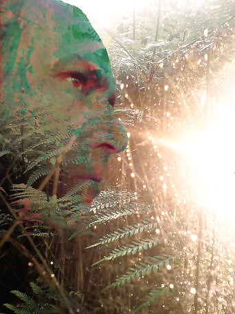 XXX Der Herr der Lust und seine Bilder der Lust