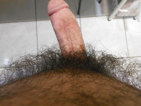 New pics my hairy cock