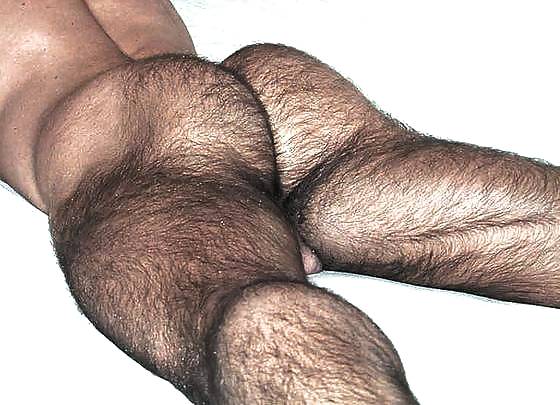 Naked Hairy Men Butts - Naked men with hairy legs. 
