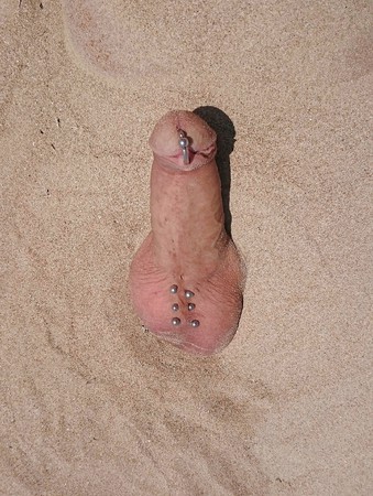 Cock left on the beach