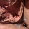 School Teacher - He came deep in my pussy