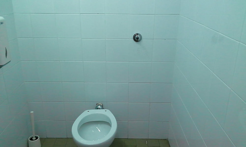 XXX Exhibitionist Carmen Nadia