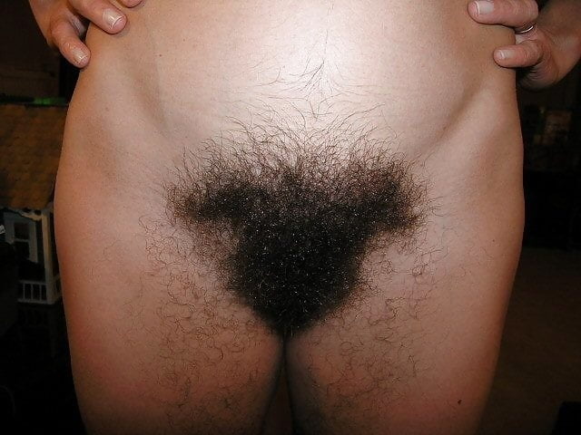 Hairy Bush Pussy