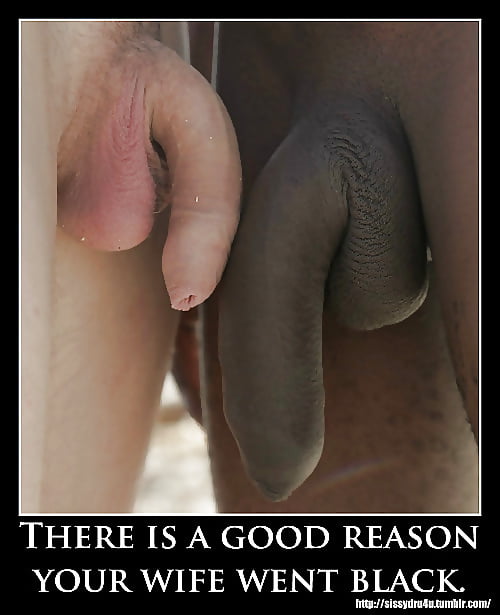 XXX Handpicked Amateurs 320