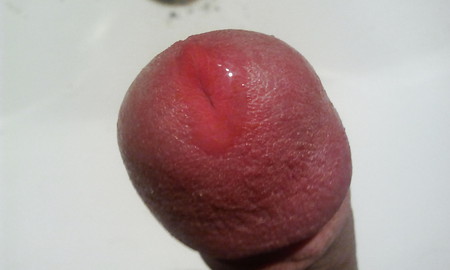 Neue Bilder meines Penis