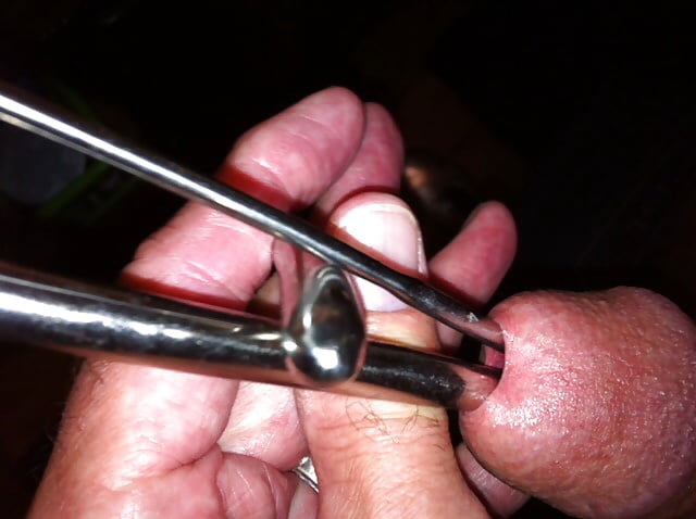 XXX cock sounding 101