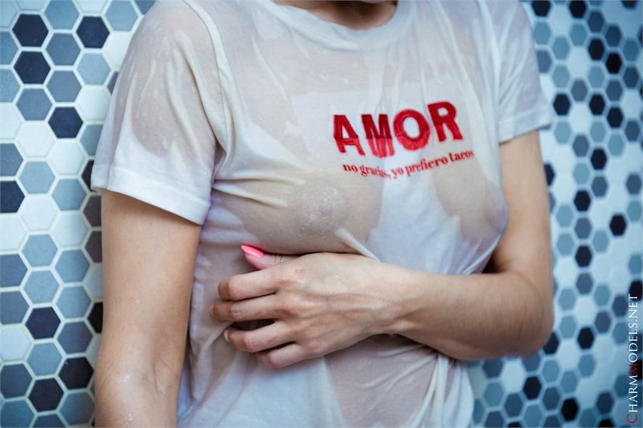 Milena wet tshirt and transparent panties - 16 Photos 