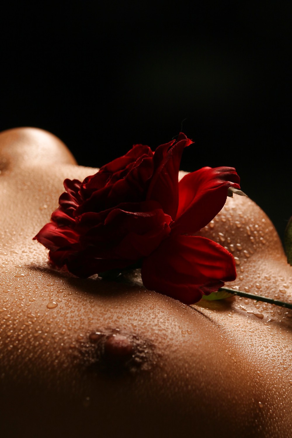 XXX Erotic Art of Roses - Session 2