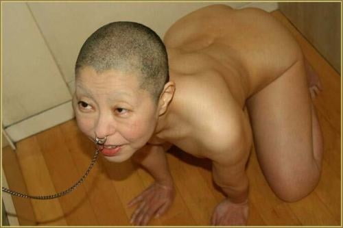 Bald Slaves 22 Pics Xhamster