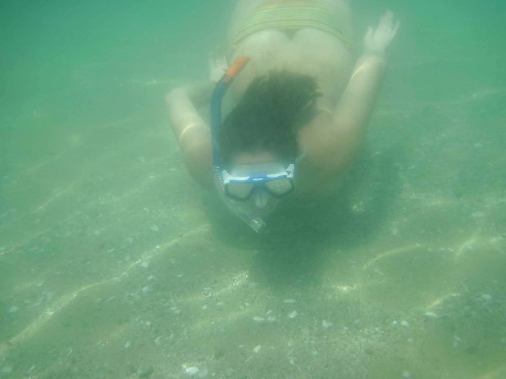 XXX The beach 101