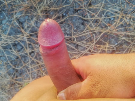 bronceando mi verga en el rico sol            