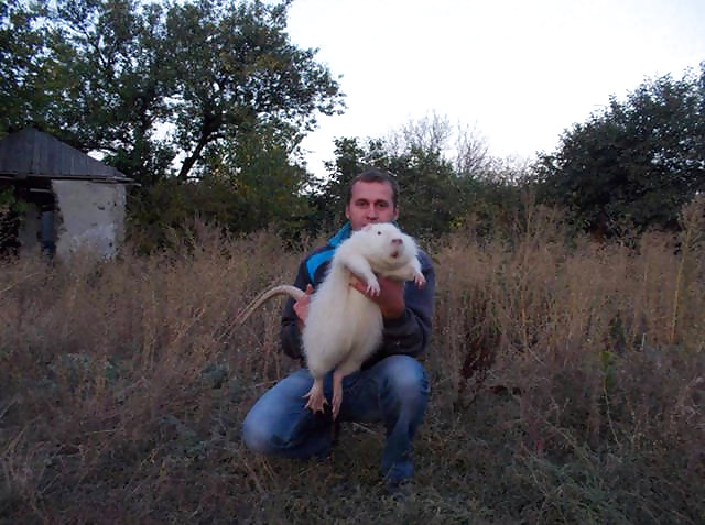 XXX Girls and Diverses 35