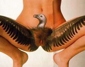 XXX Pussy Pics