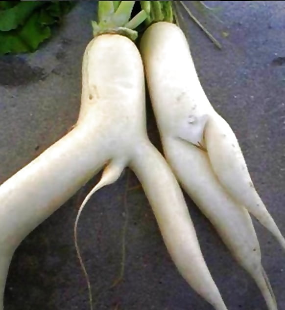 XXX Handpicked Amateurs 327